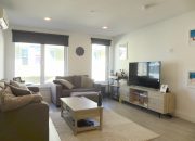 00 Open Concept New Construction Two Bed Two Bath in Central Allston Location